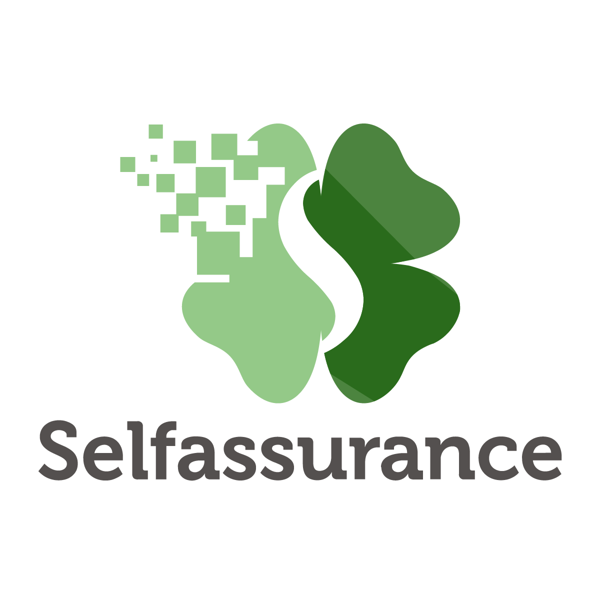 Selfassurance Nouveau Logo Vert 2